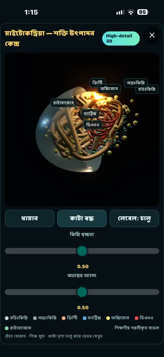 মাইটোকন্ড্রিয়া